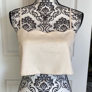 Endless Rose Satin Crop Top